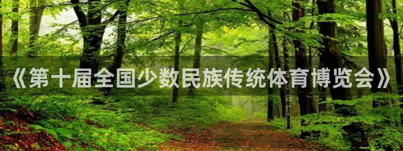 雷速封禁一般多久解封：《第十届全国少数民族传统体育博览会》