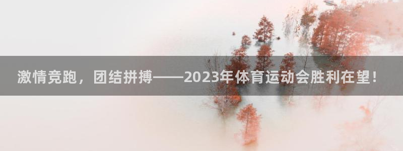 雷速比分旧版(免费)：激情竞跑，团结拼搏——2023年体育运动会胜利在望！
