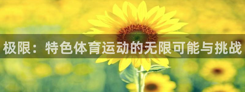 雷速和光速哪个快：极限：特色体育运动的无限可能与挑战