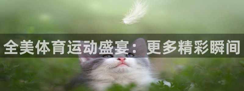 雷速手机版