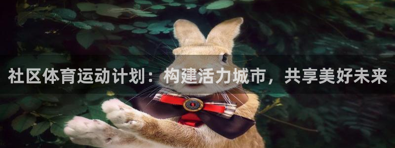 雷速登之闪电冲线3免费动画：社区体育运动计划：构建活力城市，共享美好未来