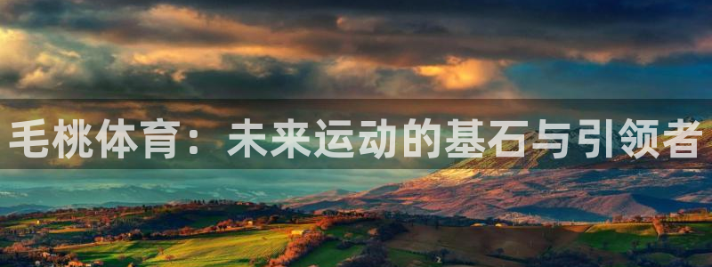 雷速破解版