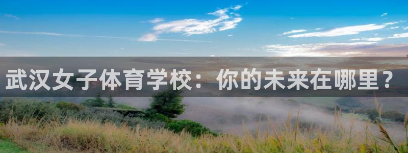 雷速号