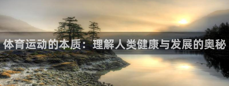 雷速体育篮球比分：体育运动的本质：理解人类健康与发展的奥秘